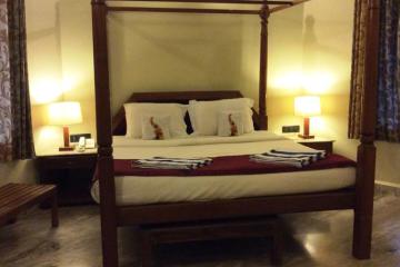 Отель Leoney Resort Индия, Вагатор, фото 14