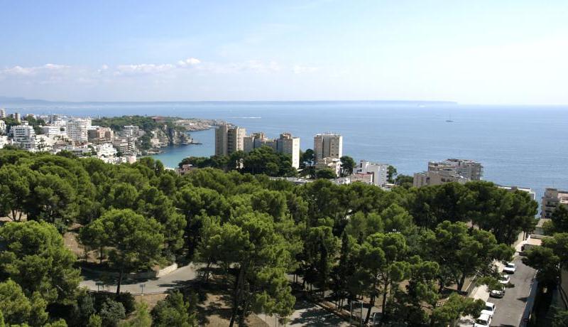 Belvedere