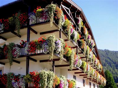 Belvedere Dolomites Flower Hotel