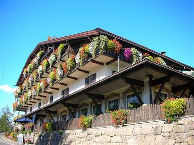 Belvedere Dolomites Flower Hotel