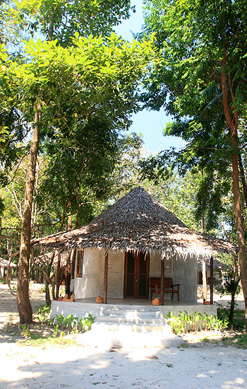 The Tropical Hideaway