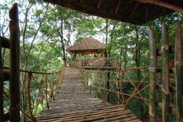Отель Green Woods Resort Индия, Керала, фото 3
