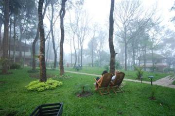 Отель Green Woods Resort Индия, Керала, фото 4
