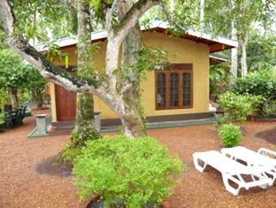 Отель Bentota Village Шри-Ланка, Бентота, фото 15