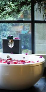 Tivoli Sao Paulo Mofarrej