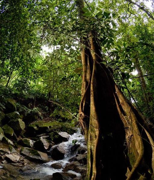 Resorts World Awana by Resorts World Genting