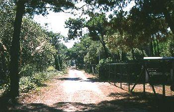Boboba Il Villaggio