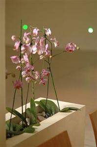 Best Western Globus Hotel