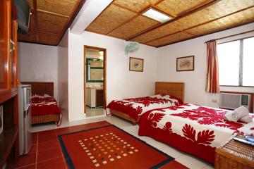 Отель El Galleon Beach Resort Филиппины, о Миндоро, фото 5