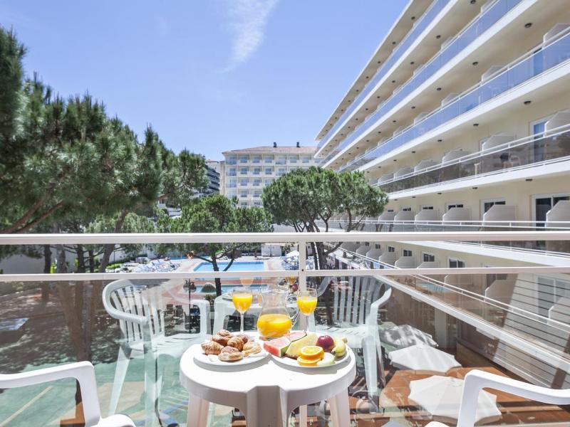 Best Hotels Oasis Park