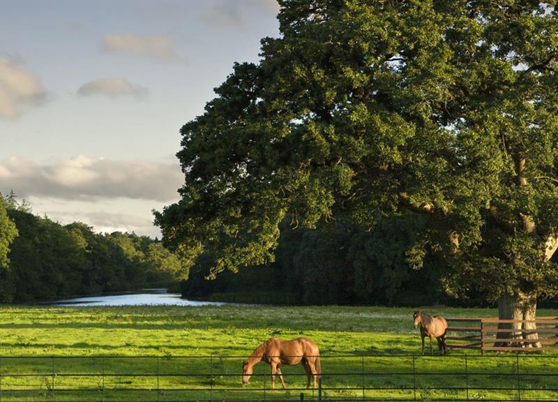 Castlemartyr Resort Hotel