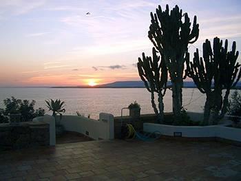 La Rosa Sul Mare