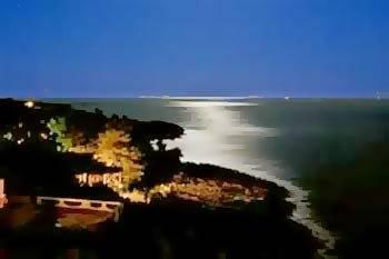 La Rosa Sul Mare