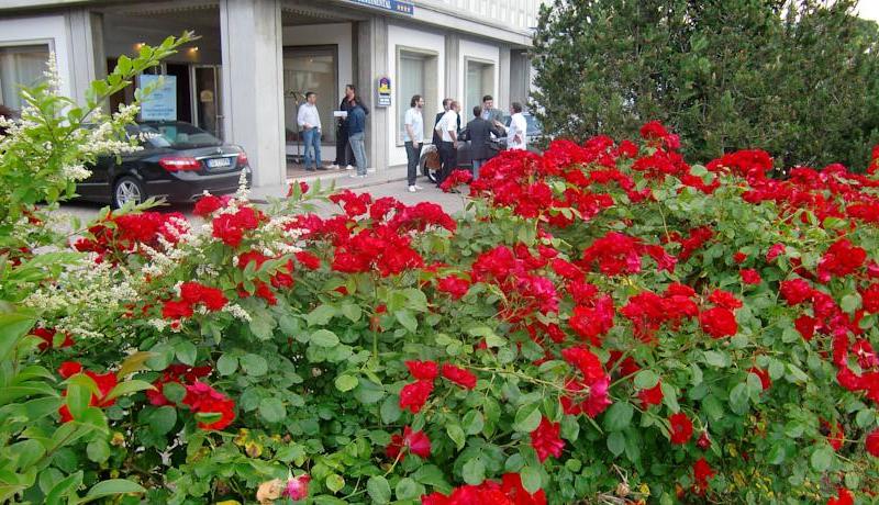 Best Western Park Hotel Continental