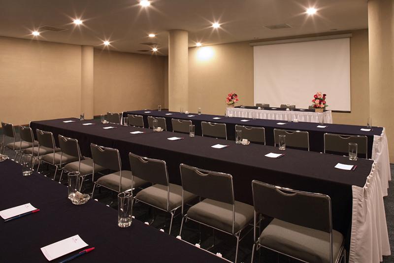 Francia Aguascalientes