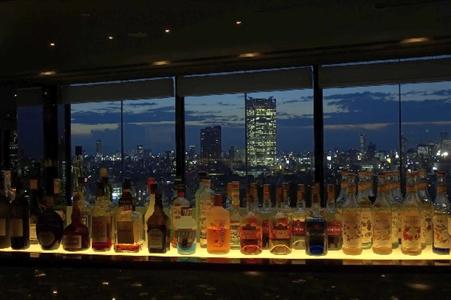 The Prince Park Tower Tokyo