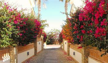 Los Cabos Golf Resort