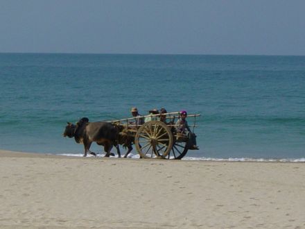 The Palm Beach Resort