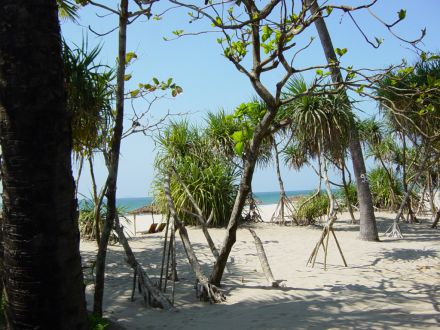 The Palm Beach Resort