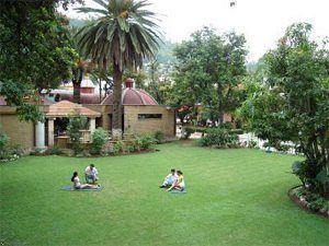 Los Olivos Spa