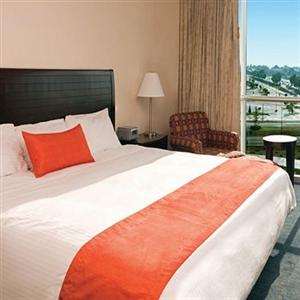 Camino Real (Пачука-де-Сото)