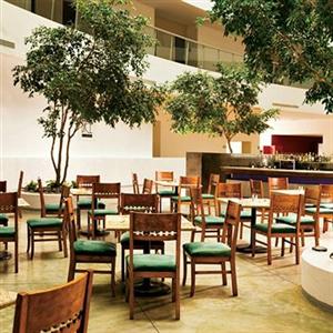 Camino Real (Пачука-де-Сото)