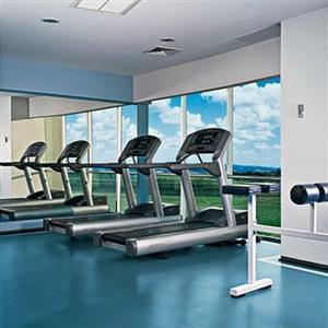 Camino Real (Пачука-де-Сото)