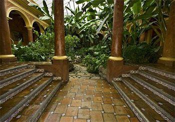 Casa Mexicana