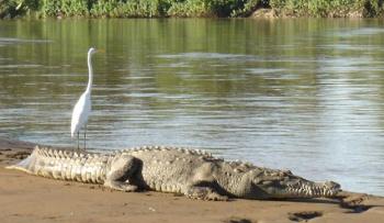 Best Western Jaco Beach Resort