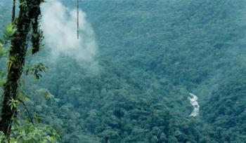 Best Western Jaco Beach Resort