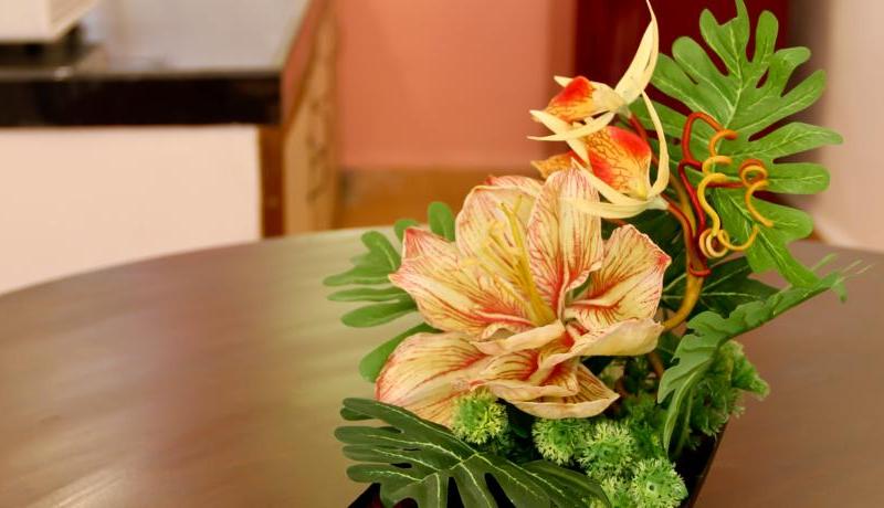 San Joao Holiday Homes