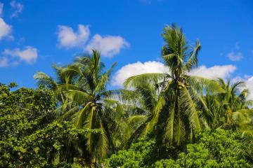 Отель De Karon Таиланд, пляж Карон, фото 18