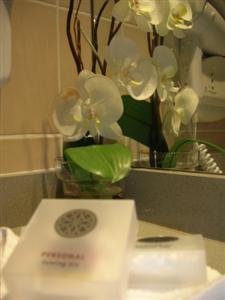 Holiday Inn Toulouse Airport