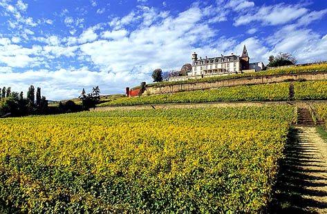 Chateau D'Isenbourg
