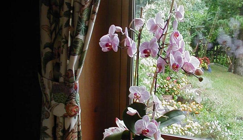 Villa Angelino Bed & Breakfast