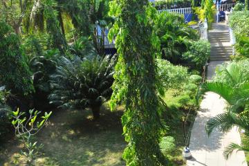 Отель Mayflower Beach Resort Индия, Бага, фото 18