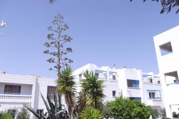 Отель Kefalonitis Hotel Apartments Кипр, Пафос, фото 25