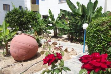 Отель Kefalonitis Hotel Apartments Кипр, Пафос, фото 5