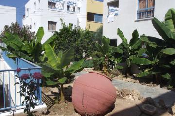 Отель Kefalonitis Hotel Apartments Кипр, Пафос, фото 6