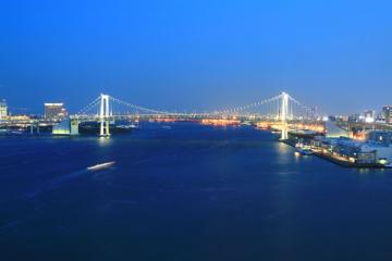 Отель Intercontinental Tokyo Bay Япония, Токио, фото 29