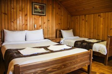 Отель Bakuriani House Грузия, Бакуриани, фото 8