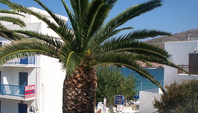 Adonis Hotel