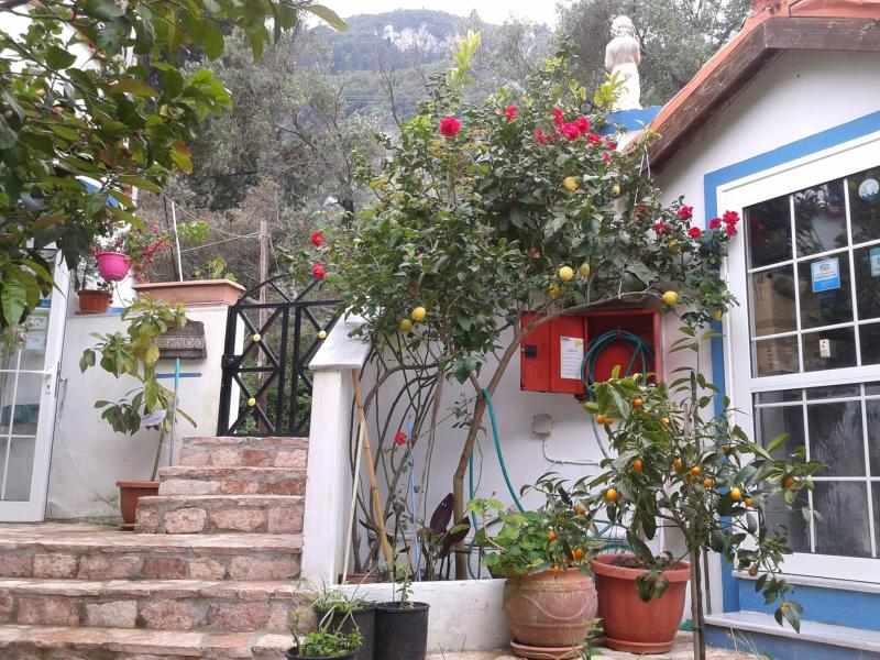 Andromaches Holiday Apartments