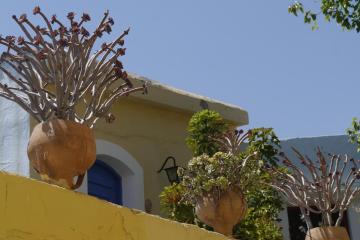 Отель Arolithos Traditional Cretan Village Греция, о. Крит-Ираклион, фото 22