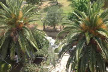 Отель Olympic Bibis Греция, Халкидики-Ситония, фото 15