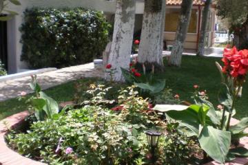 Отель Olympic Bibis Греция, Халкидики-Ситония, фото 2