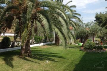 Отель Olympic Bibis Греция, Халкидики-Ситония, фото 7