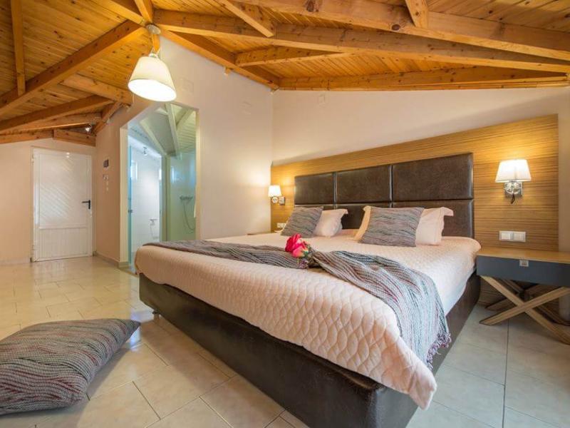 Hotel Plessas Palace