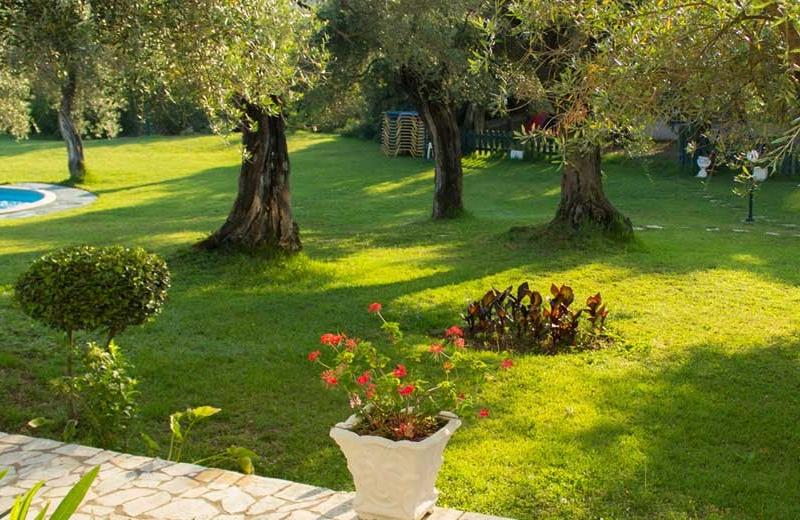 Saint Nicholas Hotel