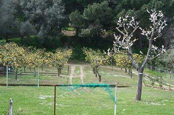 Casale Antonietta